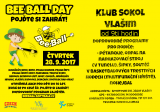 beeball2017a